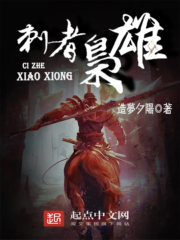 《刺者枭雄》小说封面