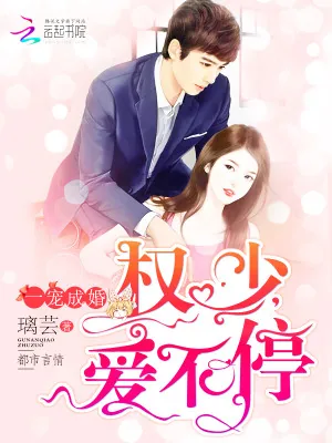 《一宠成婚：权少，爱不停》小说封面