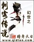 《幻世之刺客传说》小说封面