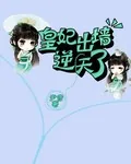 《皇妃出墙逆天了》小说封面