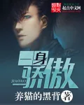 《一身骄傲》小说封面