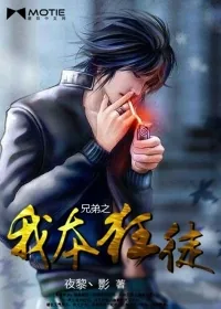 《兄弟之我本狂徒》小说封面