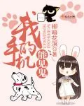 《我的手机能见鬼》小说封面