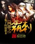 《网游之霸刺》小说封面