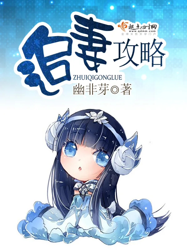 《追妻攻略》小说封面