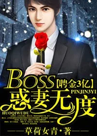 《聘金3亿，BOSS惑妻无度》小说封面
