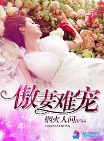 《傲妻难宠》小说封面