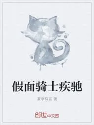 《假面骑士疾驰》小说封面