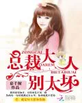 《总裁大人，别太坏》小说封面