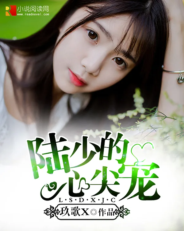 《陆少的心尖宠》小说封面