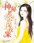 《神秘老公，深夜来》小说封面