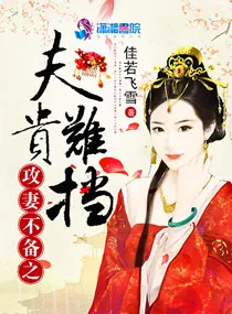 《攻妻不备之夫贵难挡》小说封面
