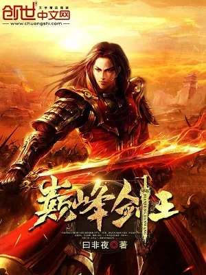《巅峰剑王》小说封面