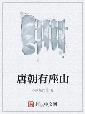 《唐朝有座山》小说封面