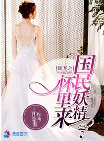 《暖宠之国民妖精怀里来》小说封面