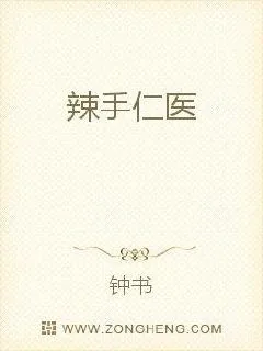《辣手仁医》小说封面