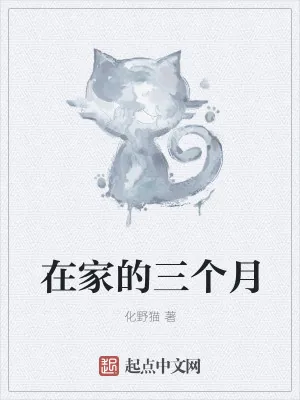 《在家的三个月》小说封面