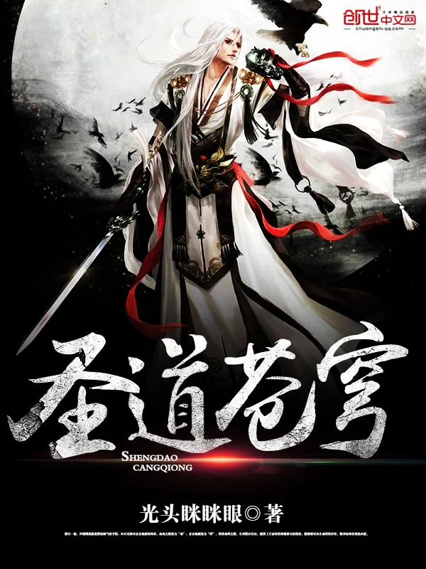 《圣道苍穹》小说封面