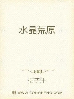 《水晶荒原》小说封面