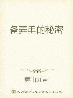《备弄里的秘密》小说封面