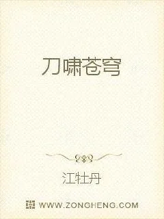 《刀啸苍穹》小说封面