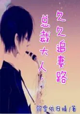《总裁大人,久久追妻路》小说封面