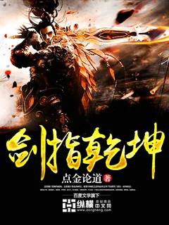《剑指乾坤》小说封面