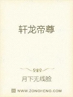 《轩龙帝尊》小说封面
