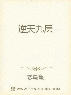 《逆天九层》小说封面