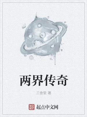 《两界传奇》小说封面