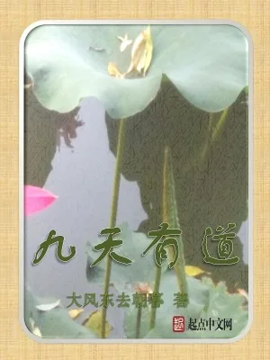 《九天有道》小说封面