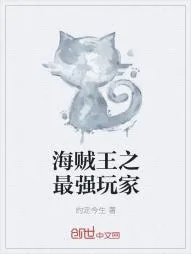 《海贼王之最强玩家》小说封面