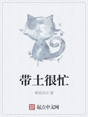 《带土很忙》小说封面