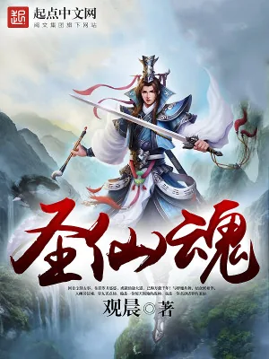 《圣仙魂》小说封面