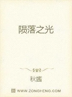 《陨落之光》小说封面