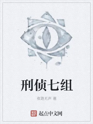 《刑侦七组》小说封面