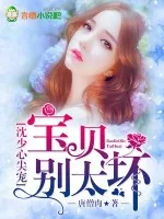 《沈少心尖宠：宝贝，别太坏》小说封面