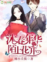 《沐春年华,陌上花开》小说封面