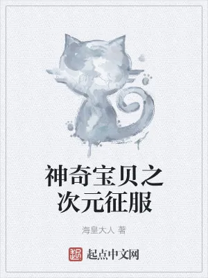 《神奇宝贝之次元征服》小说封面