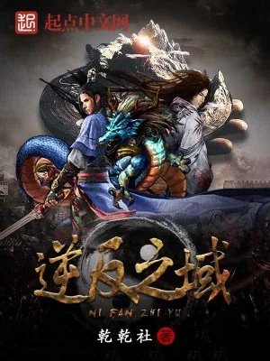 《逆反之域》小说封面