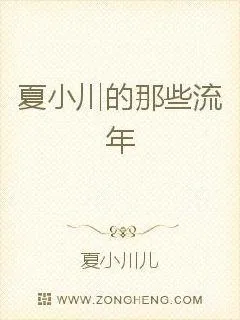《夏小川的那些流年》小说封面