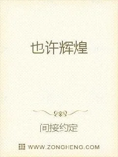 《也许辉煌》小说封面
