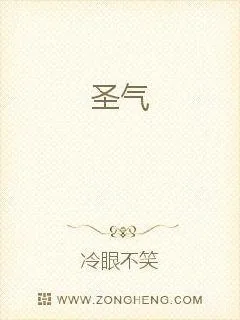 《至尊圣主》小说封面