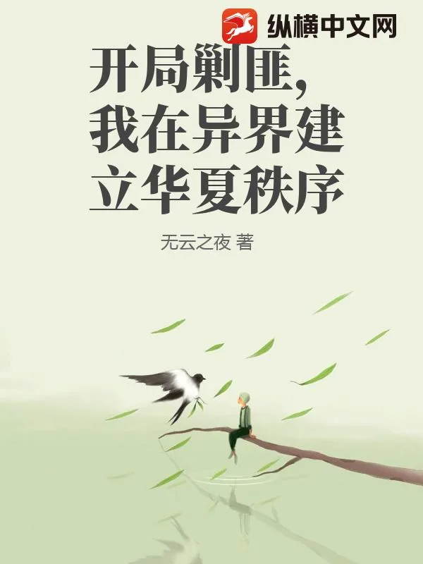 《开局剿匪，我在异界建立华夏秩序》小说封面