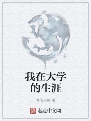 《我在大学的生涯》小说封面