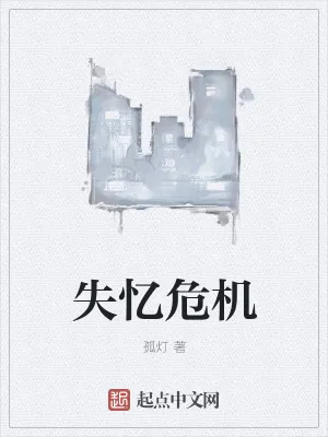 《失忆危机》小说封面