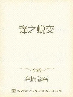 《锋之蜕变》小说封面