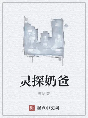 《灵探奶爸》小说封面