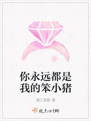《你永远都是我的笨小猪》小说封面