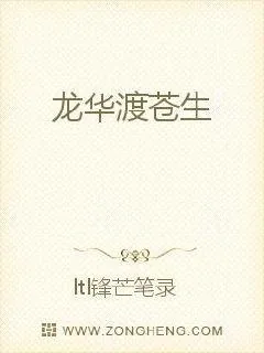 《龙华渡苍生》小说封面